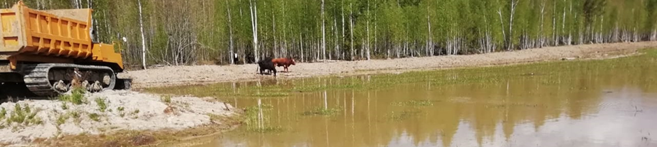 Доставка чернозёма по городу и области